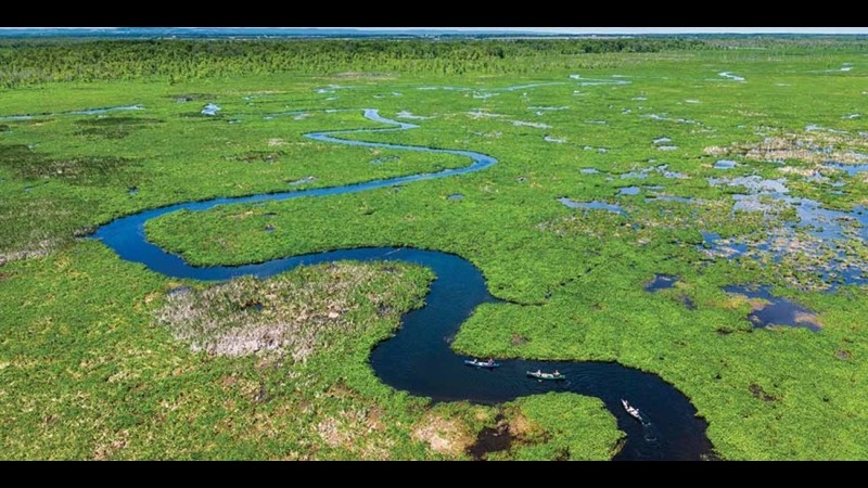 Wetlands